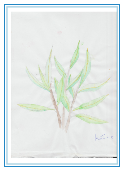16-LCdPP
